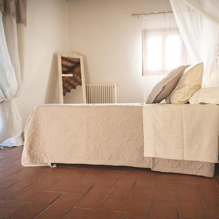 Bed and Breakfast Gatto Rosso à Bolgheri Extérieur photo