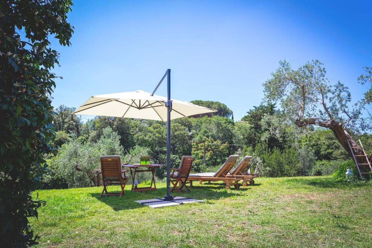Bed and Breakfast Gatto Rosso à Bolgheri Extérieur photo