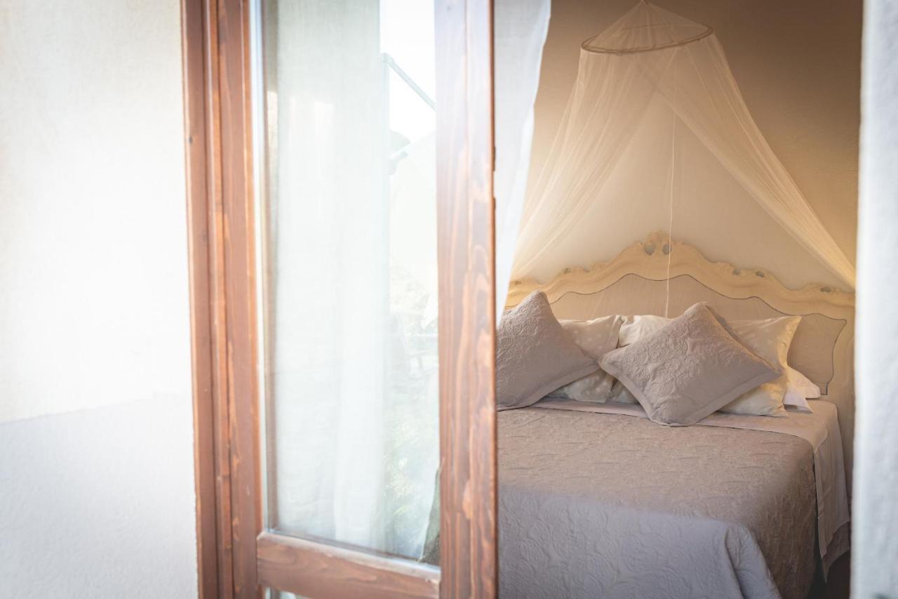 Bed and Breakfast Gatto Rosso à Bolgheri Extérieur photo